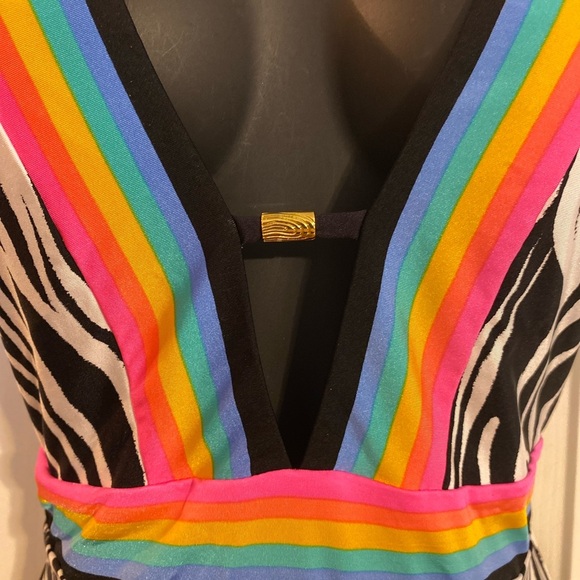“SUNSHINE 79” Psychedelic Zebra Plunge Bathing Suit - Picture 8 of 16